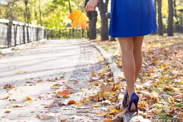 Woman legs in the park