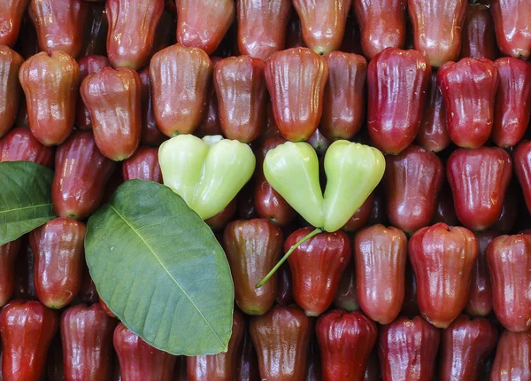 Four green rose apple lay on red rose apple.sw