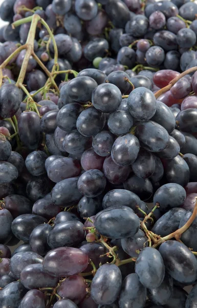 Purple Grapes isolated on white background autumn sweet raw fruit