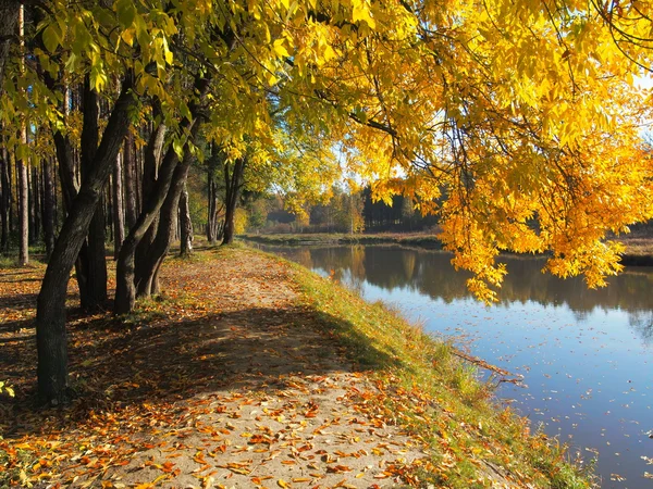 Autumn landscape at the bank of a small river in sunshine