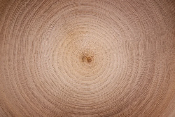 Wood cut circles texture