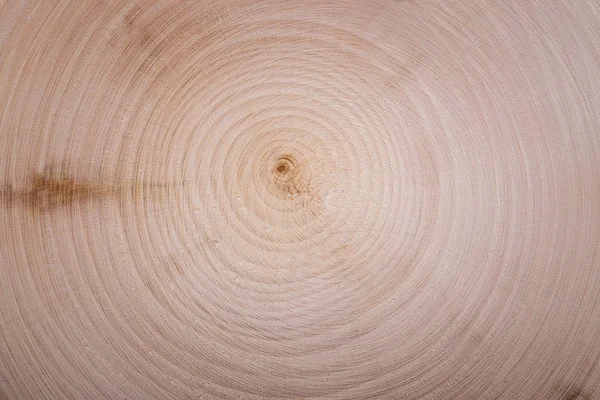 Wood cut circles texture