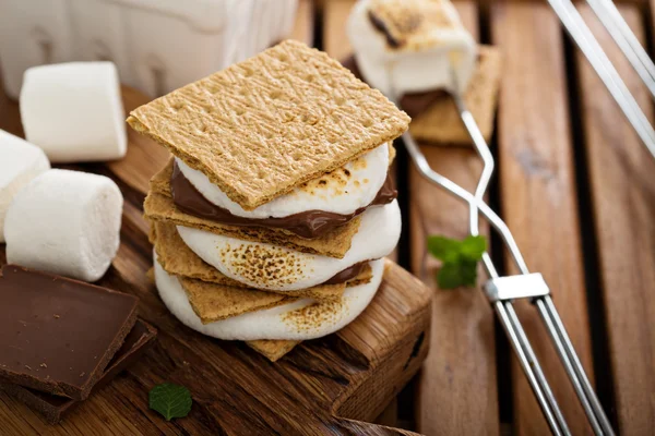 Picnic dessert smores with marshmallows
