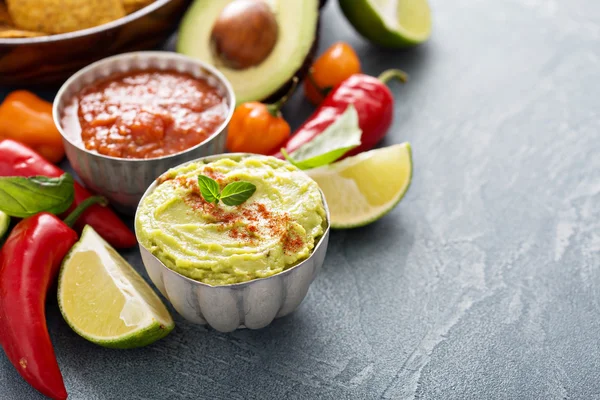 Mexican cuisine ingredients and guacamole