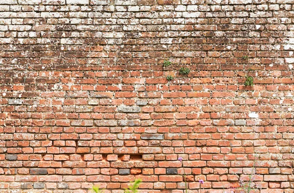 Brick wall background for design works