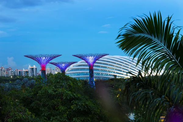 Singapore, 15 October 2016 - Landscape of The Supertree at Gardens by the Bay in Marina Bay