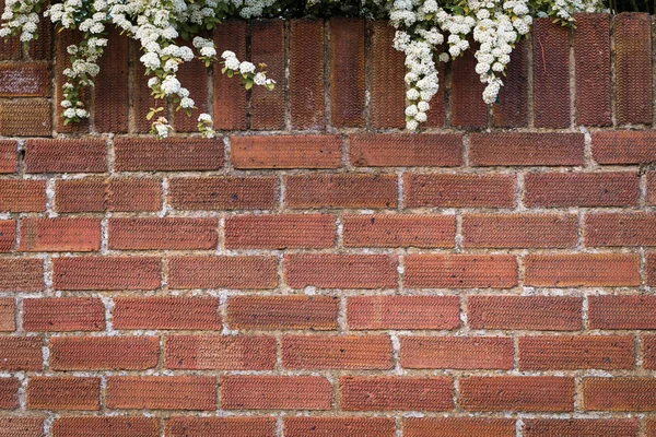 Brick wall background with flowers