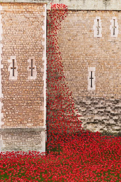 Ceramic poppies, Tower of London 12 November 2014. Remembrance Day. Ceramic poppies installation by Paul Cummins and Tom Pipe on October 11, 2014 commemorate the 888,246 British and colonial military who died in the 1914-1918 First World War