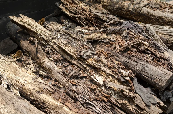 Rotten mangrove wood