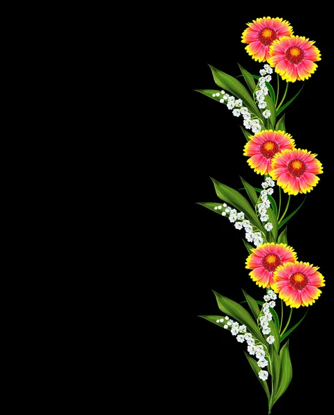 Bouquet of colorful flowers of Gaillardia. delicate flowers isol
