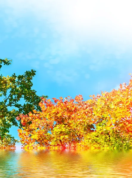 Autumn landscape with colorful bright trees. Indian summer