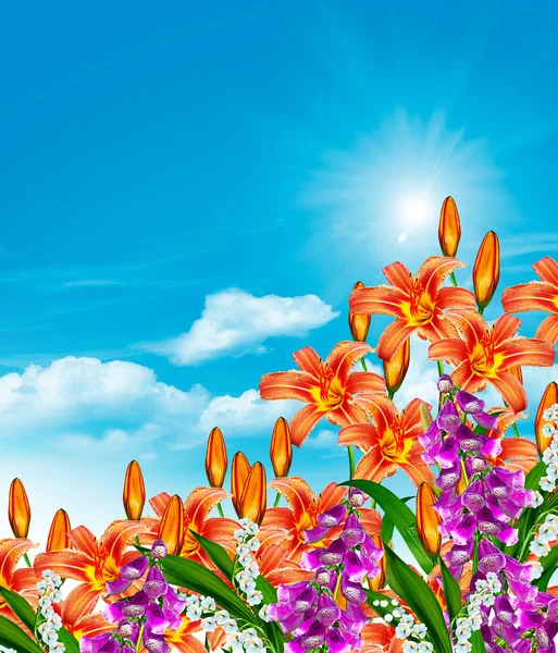 Lily flowers on a background of blue sky with clouds