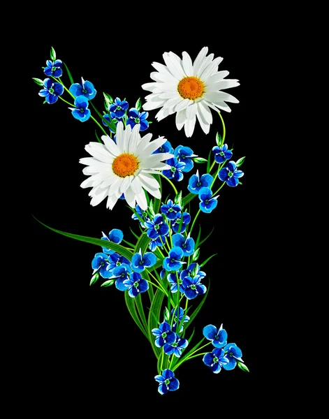 Daisy flower isolated on black background