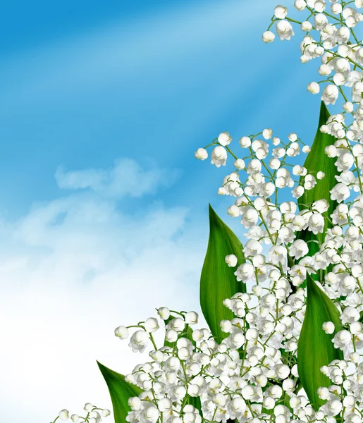 Flowers lily of the valley and blue sky with clouds