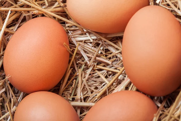 The eggs which are laid out in a basket with hay.