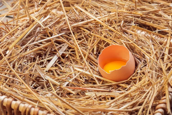 The eggs which are laid out in a basket with hay.
