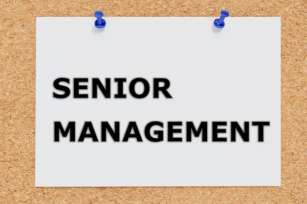 Senior Management concept