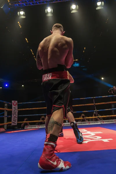 Proffesional boxing between Daniel Hartvig (SWE) and Nikoloz Gva