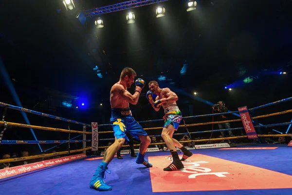 IBO Title boxing match between Erik Skoglund (SWE) and Ryno Lieb