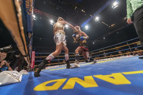 WBC title match between Mikaela Lauren (SWE) vs Klara Svensson (