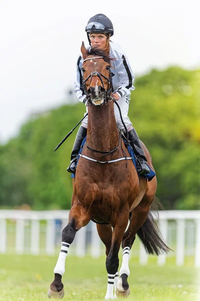 Jockey and horse during warmup before the horserace