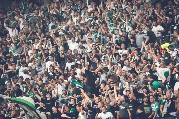 Fans of Hammarby after a goal in the soccer game the rivals Djur