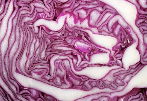 Cross section of red cabbage background