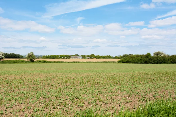 Farmland with agricultural buildings beyond