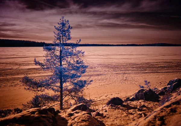 Infrared Winter Lake