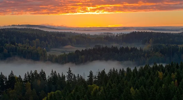 Foggy countryside view