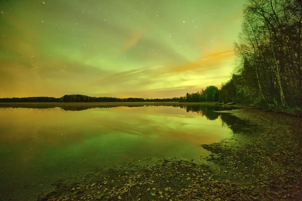 Northern lights lakescape at night