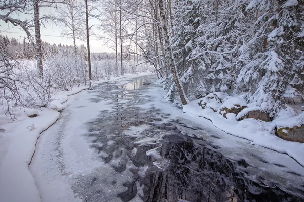 Frozen stream in forest