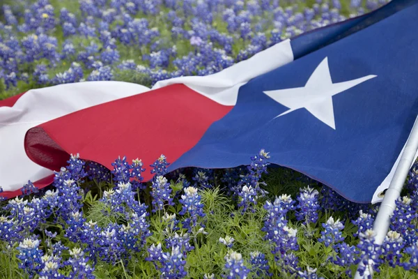 Texas flag among bluebonnet flowers on bright spring day