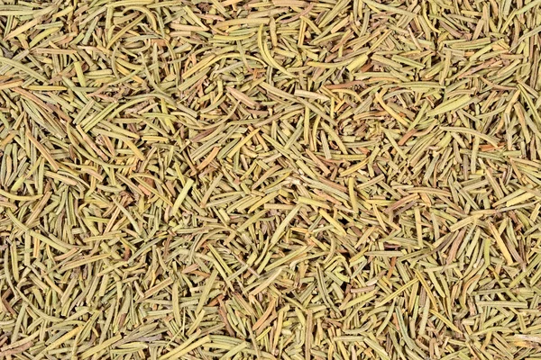 Dried rosemary background