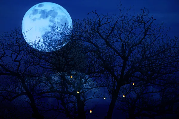 Bright full moon with spooky tree branches background