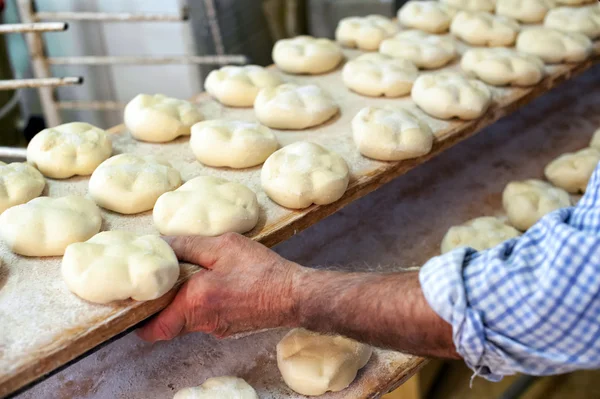 Bread dough on a rack ready for baking in the oven