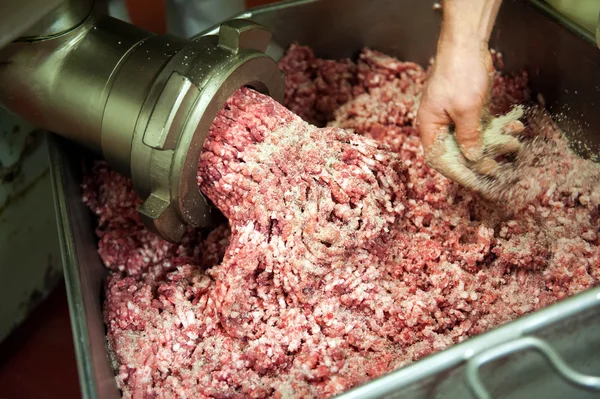 Seasoning ground beef in factory