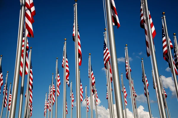 Many U.S.  flags flying on flag poles.