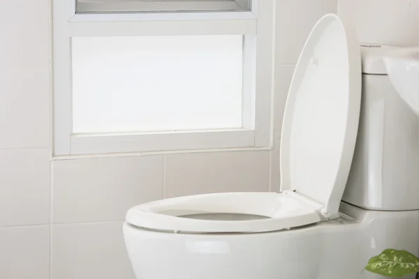 White toilet in modern home, white toilet bowl in cleaning room, flushing liquid in toilet, private toilet in modern room, interior equipment and modern restroom, cleaning toilet.