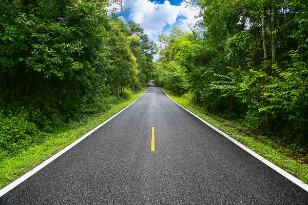 Country road between district to the city with motion blur, Journey way of traveler to the nature, Road in the mountain and the forest for travel to someplace, Asphalt road in the forest and no car.