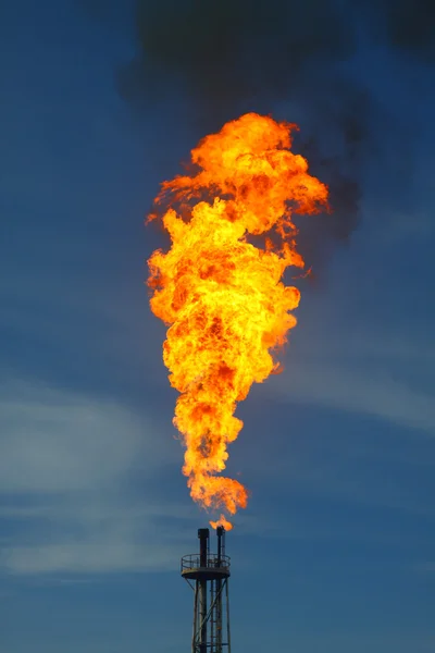 Burning the gas or oil at Flare station, Oil and gas construction