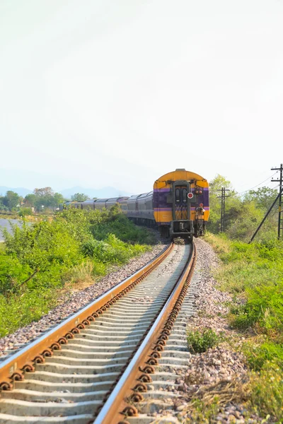 Railway line passing through the green plants. Journey way by train.