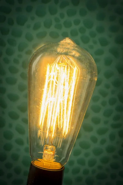Edison Lightbulb Close Up