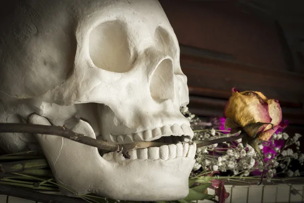 Skull Rose Piano