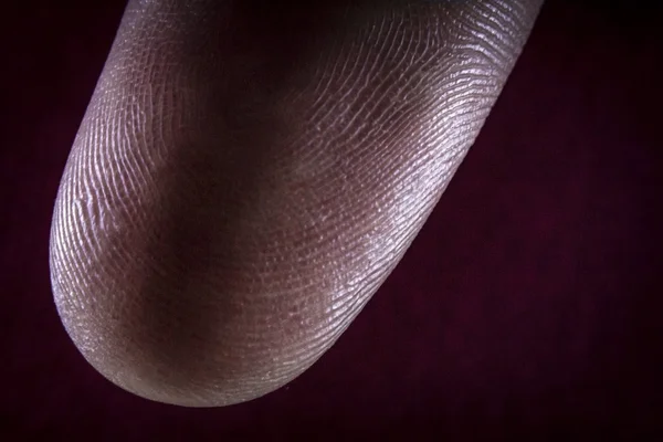 Fingerprint Pointer Finger