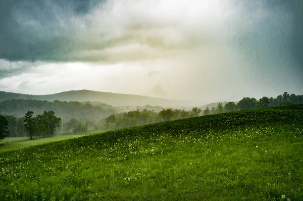 Moody Stormy Landscape