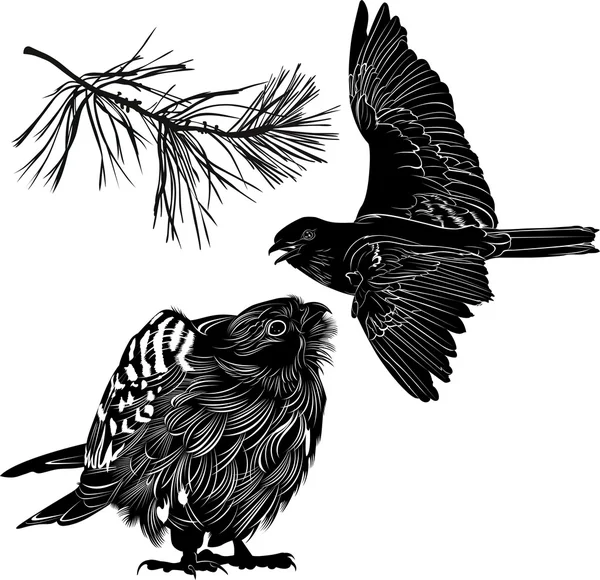 Animals birds  illustration