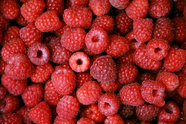 Background with sweet raspberries