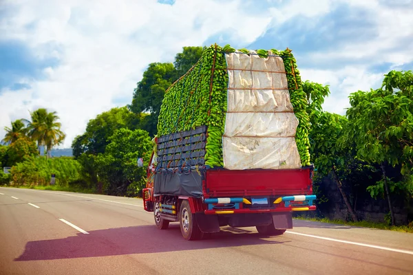 A truck carrying a load of bananas, driving through Dominican Republic road