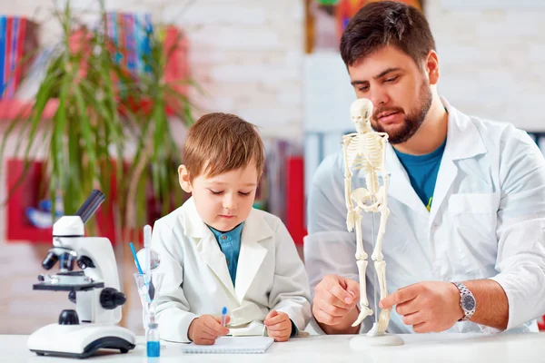 Teacher explains a human body structure to little pupil